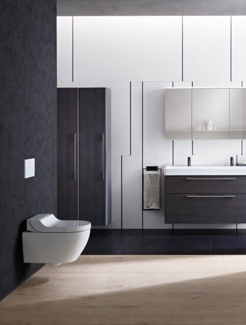 ΛΕΚΑΝΗ ΚΡΕΜΑΣΤΗ AQUACLEAN TUMA COMFORT RIMLESS ΜΕ SOFT CLOSE ΚΑΠΑΚΙ GEBERIT 9 1116030008 ambi ΛΕΚΑΝΗ ΚΡΕΜΑΣΤΗ AQUACLEAN TUMA COMFORT RIMLESS ΜΕ SOFT CLOSE ΚΑΠΑΚΙ GEBERIT