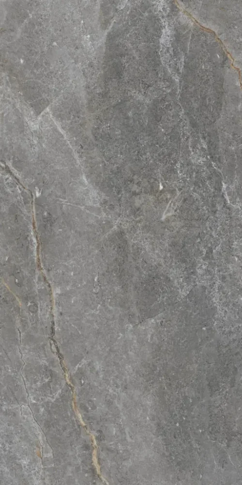 FIOR DI BOSCO POLISHED C6b 60x120INTE 512x1024 1