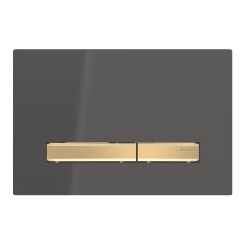 ΠΛΑΚΕΤΑ GEBERIT SIGMA 50 115.672.DW.2 ΜΑΥΡΗ / BRASS