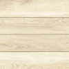 forest white 9003e11 1080p 1 Το ΠΛΑΚΑΚΙ ΓΡΑΝΙΤΗ GRECO IVORY 60Χ120cm αποτελεί ένα πλακάκι γρανίτη υψηλής ποιότητας που συνδυάζει την κομψή αισθητική του μπεζ χρώματος με τη σύγχρονη εμφάνιση του τσιμέντου.