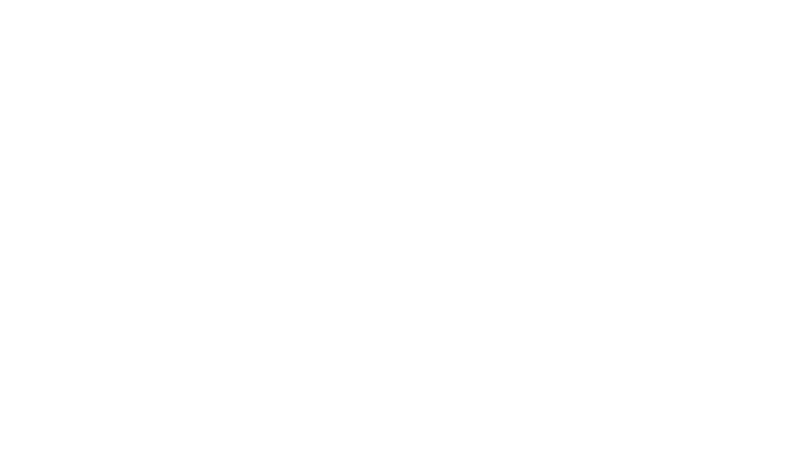 immergas.svg