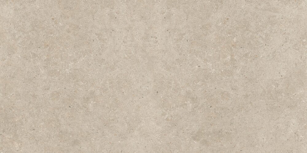 ΠΛΑΚΑΚΙ ΓΡΑΝΙΤΗΣ ΟΥΛΙΣΕ ΝΑΤΟΥΡΑΛ 60x120cm ΜΑΤ RECTIFIED - Image 2
