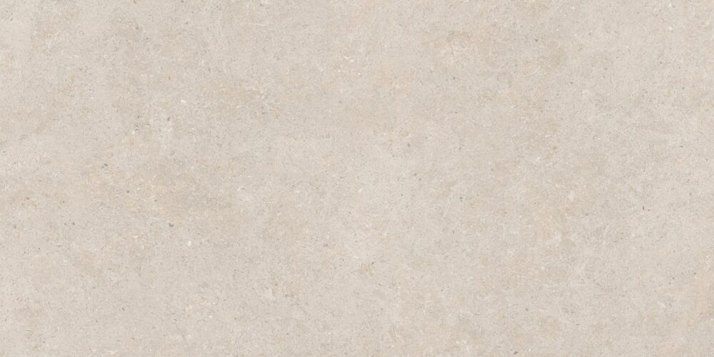 ΠΛΑΚΑΚΙ ΓΡΑΝΙΤΗΣ ΟΥΛΙΣΕ ΜΠΕΖ 60x120cm ΜΑΤ RECTIFIED - Image 5