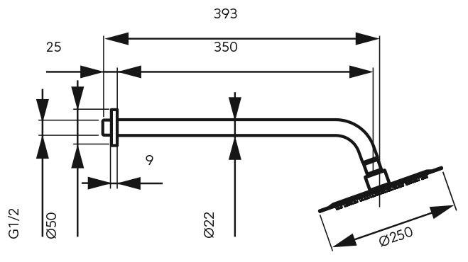 NPT13 Κεφαλή ντους με βραχίονα NPT13 FERRO Ø25cm 5903738205127 NPT13